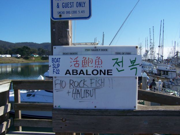 ZeGreat Abalone Adventure | ZeBot's Kitchen