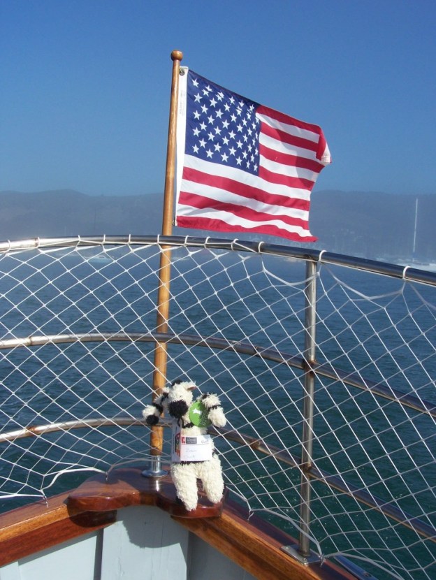 Ahoy, sailor! Did you know zebras were such nautical naturals?