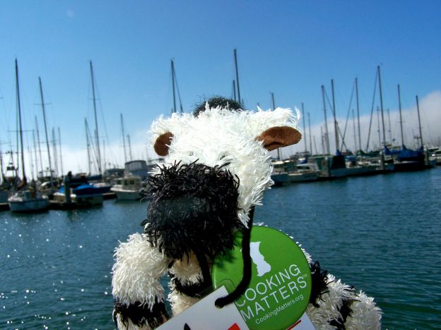 Stay tuned for more exciting zebra culinary adventures!