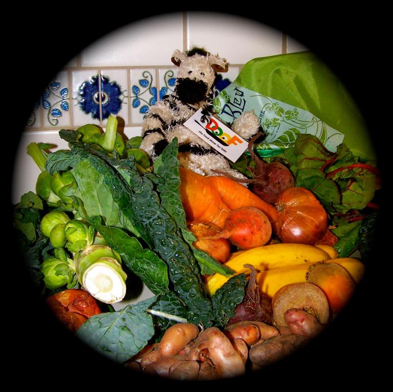 Zebras are totally into fresh -- check out what I just picked!