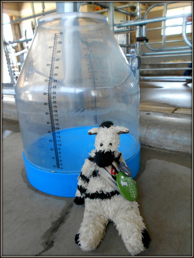 Anyone feel like a jug of water buffalo milk?