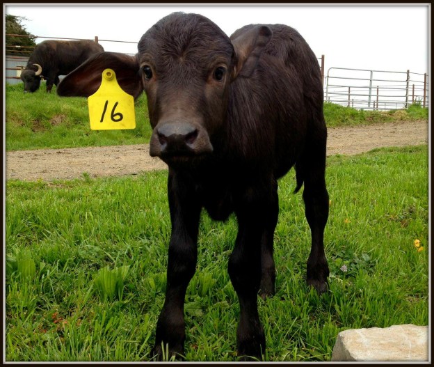 The secret to happiness?