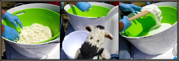 Making mozzarella di bufala is tons of fun!