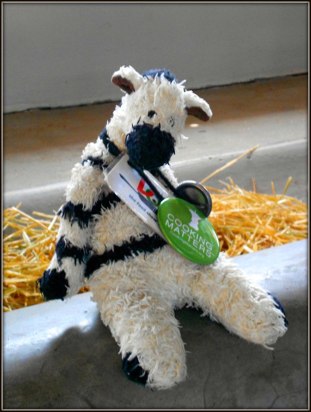 The water buffalo calves get to nibble from this trough while their moms are being milked.