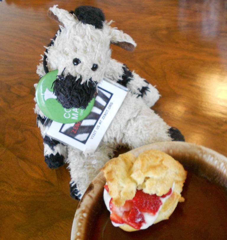 I got this idea from strawberry shortcake!