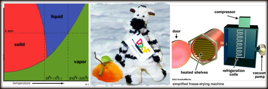 Large ZeBot Freeze Dry Collage