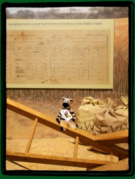 Crop Rotation Plow with ZeBot