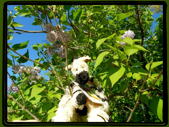 ZeBot in a Blossoming Tree