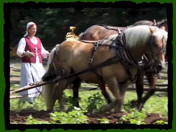 ZeBot Mount Vernon Plow