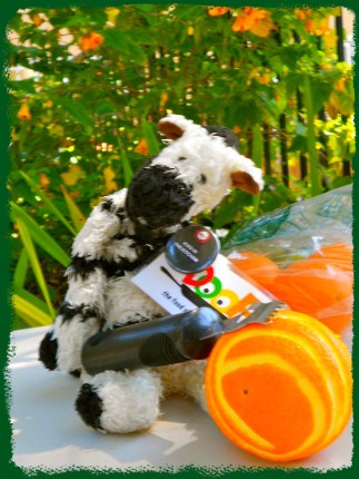 ZeBot with his Orange Zester