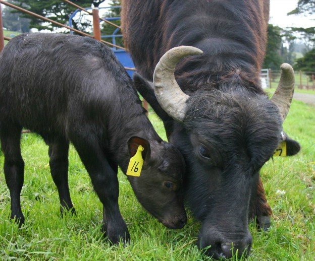 Mom & Daughter Dinner Time