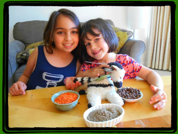 Spice Girls & Their Sniffing Zebra