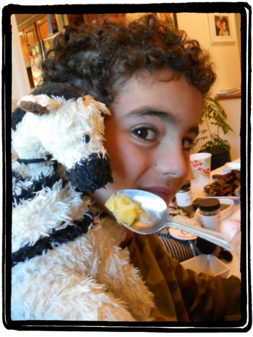 ZeBot Sniffs Fresh Ginger