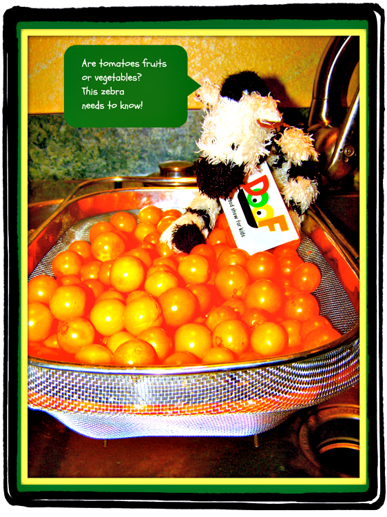 ZeBot Tomatoes Fruit or Veggie