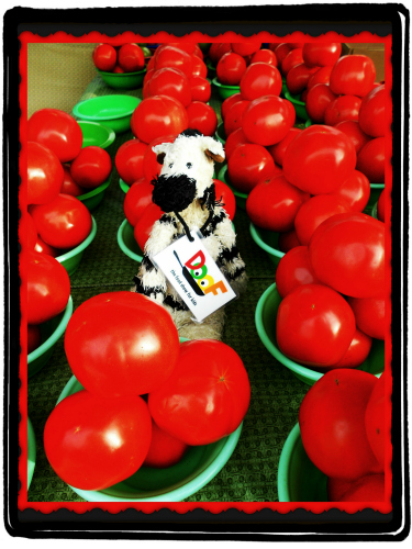 ZeBot Tomatoes in Green Bowls