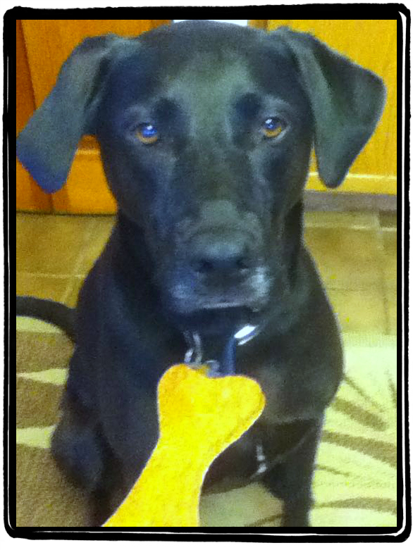 Miles - Gimme a Biscuit NOW!