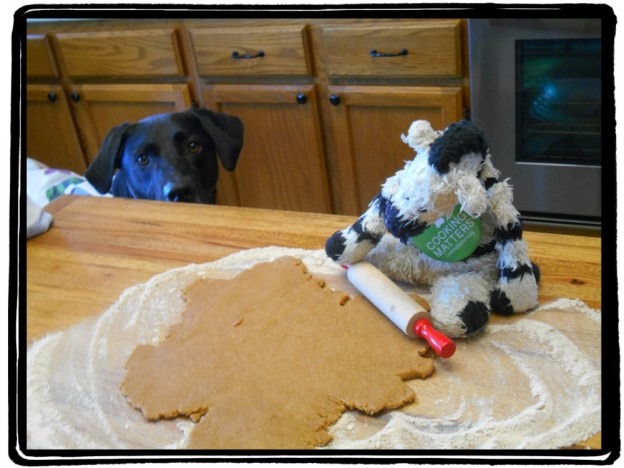 Miles & ZeBot Rollin' Out Biscuits copy