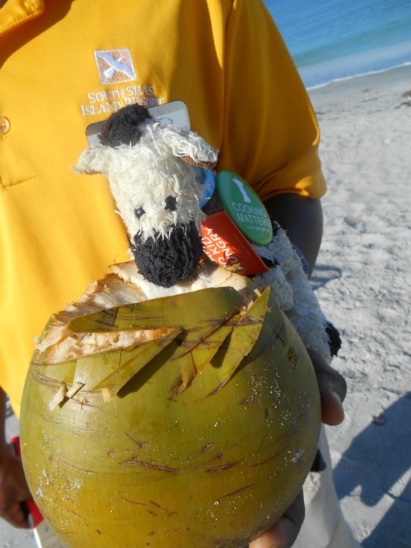ZeBot's First Sniff of Coconut
