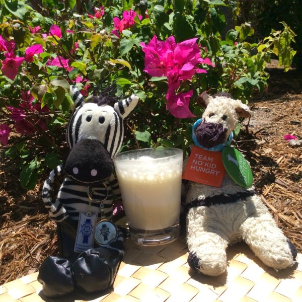 ZeCaptiva Coconut Smoothie